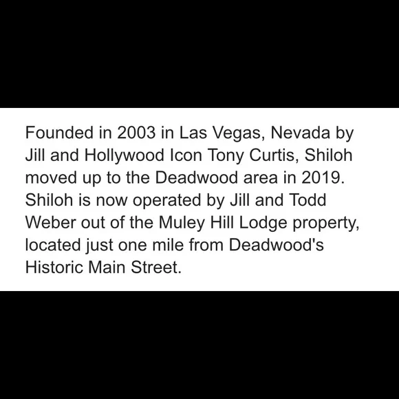 The Lucky Horse rescue decorative horseshoe - Picture 5 of 10